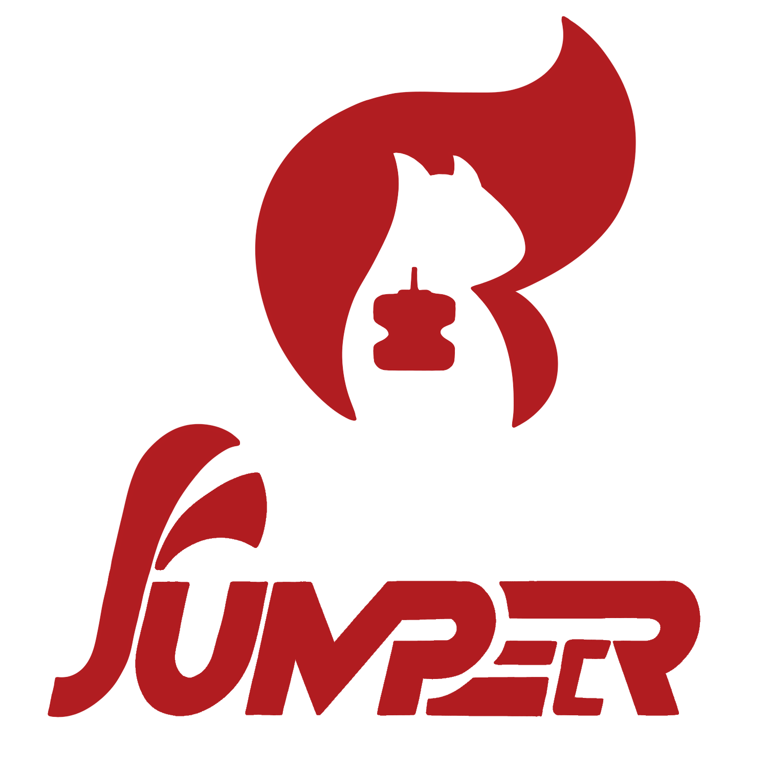 jumper_1